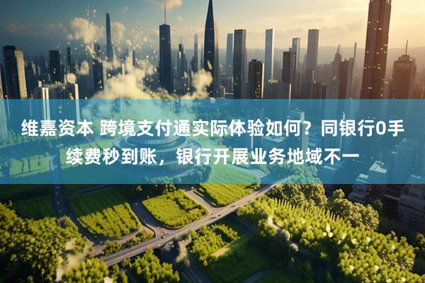 维嘉资本 跨境支付通实际体验如何？同银行0手续费秒到账，银行开展业务地域不一