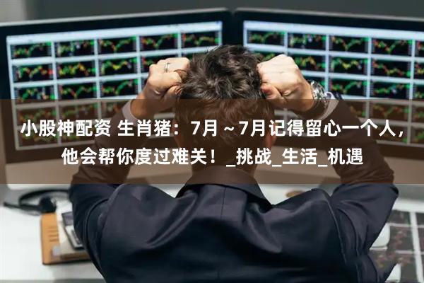 小股神配资 生肖猪：7月～7月记得留心一个人，他会帮你度过难关！_挑战_生活_机遇