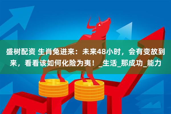 盛树配资 生肖兔进来：未来48小时，会有变故到来，看看该如何化险为夷！_生活_那成功_能力
