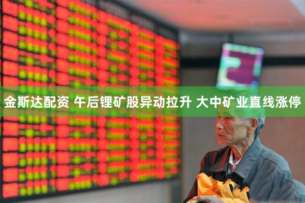 金斯达配资 午后锂矿股异动拉升 大中矿业直线涨停
