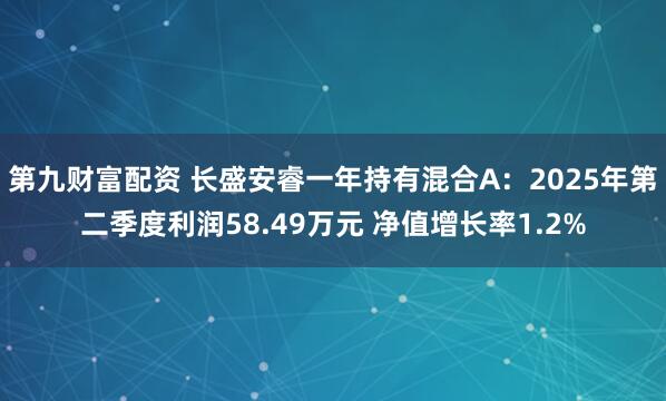 第九财富配资 长盛安睿一年持有混合A：2025年第二季度利润58.49万元 净值增长率1.2%