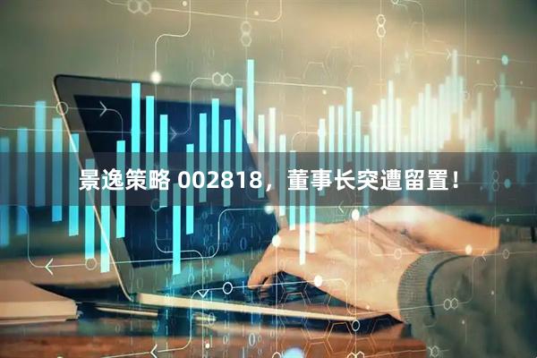 景逸策略 002818，董事长突遭留置！