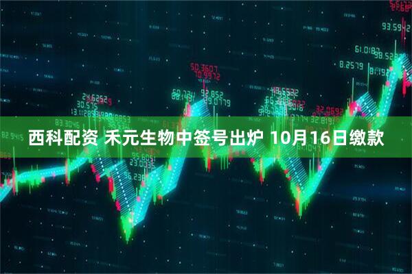西科配资 禾元生物中签号出炉 10月16日缴款